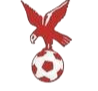 https://img.jinshuai-gd.com/img/football/team/4802d26df935b78bb2fcdbbff36e8864.png